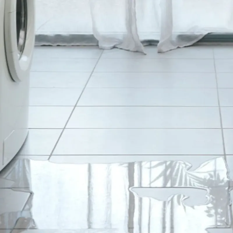 Appliance Leak Cleanup in Lake Holiday, IL