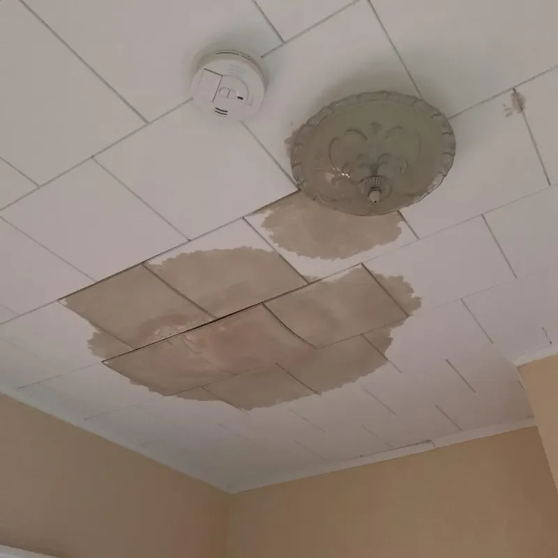 Ceiling Water Damage Repair in Lake Holiday, IL