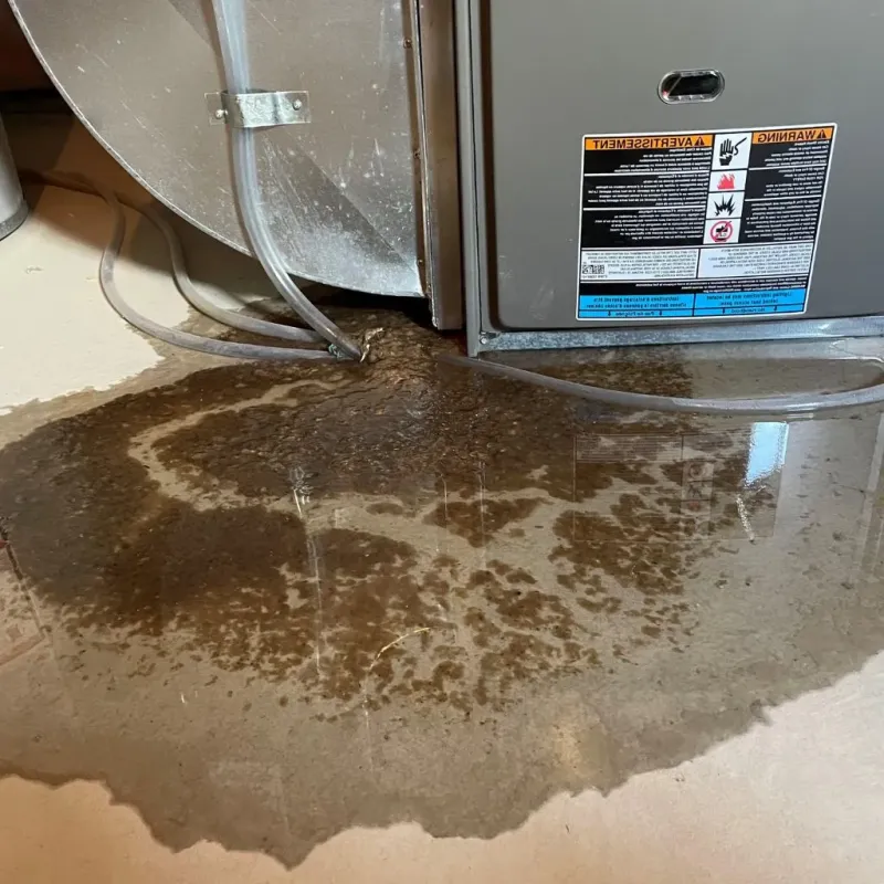 Pipe Burst and Leak Restoration in Lake Holiday, IL