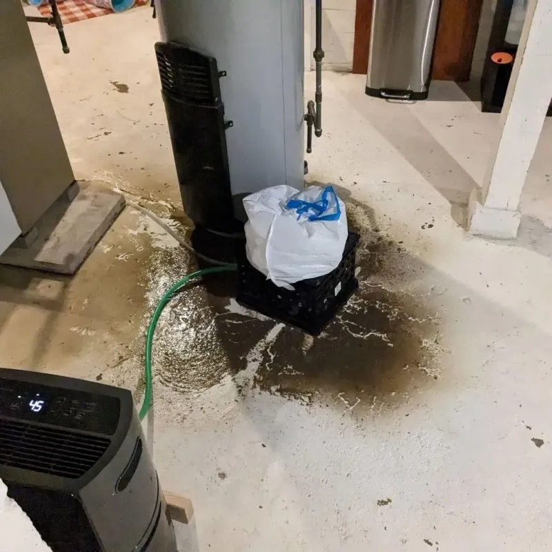 Sewage Backup Cleanup Service in Lake Holiday, IL